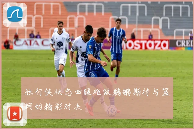 独行侠状态回暖难敌鹈鹕期待与篮网的精彩对决